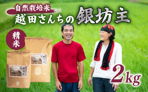 自然栽培米 越田さんちの銀坊主（精米）2kg 令和7年産