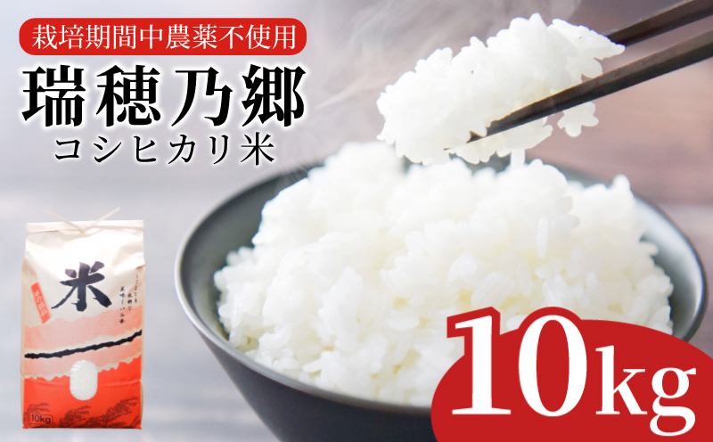 米 コシヒカリ 10kg 令和5年産 瑞穂乃郷コシヒカリ米 栽培期間中農薬不使用  四国 徳島県 小松島 白米  ふるさと納税 精米 白米 おいしい こめ おこめ ごはん 国産 ふるさと ランキング 人気 おにぎり 卵かけご飯 ふりかけ ご飯 （おいしい米 お米 コシヒカリ コシヒカリ米 こしひかり米 こしひかり 白米 ごはん ご飯 おにぎり ）