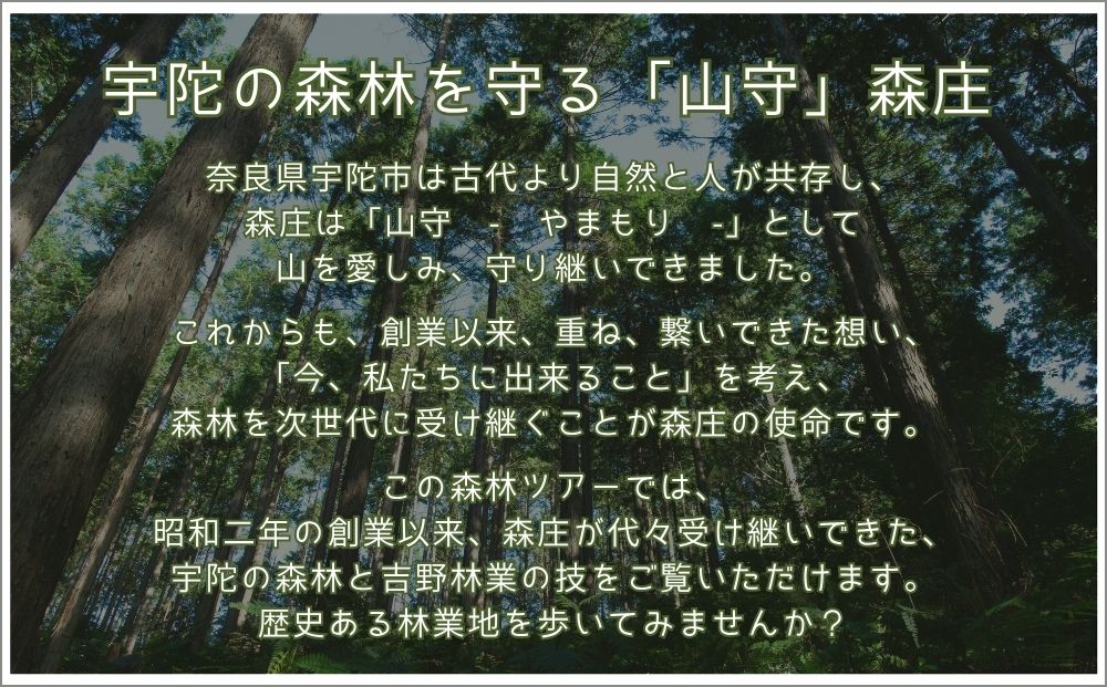 100年生の 森林ツアー ＆ 伝統木工体験 inうだ 2025夏／ 体験 関西 子供 親子 チケット 森林浴 ハイキング 木工体験 伝統工芸 林業 夏休み 宿題 MORITO 森庄 森庄銘木産業 奈良県 宇陀市 ふるさと納税
