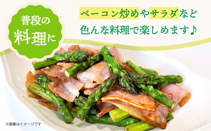 アスパラガス 春芽 約1kg 小値賀町