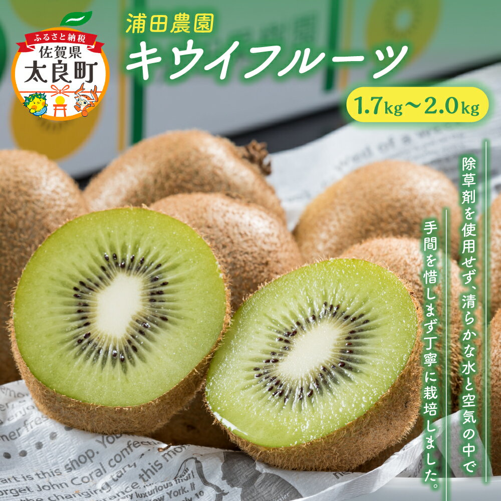 【ふるさと納税】体が喜ぶ☆キウイフルーツ 1.7kg〜2.0kg 10〜16個 甘い キウイ フルーツ 果物 栄養 浦田農園 佐賀県 太良町 LB12
