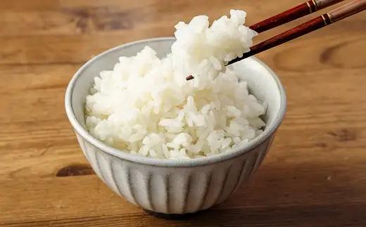 岩手県二戸市産 舌崎りんご サンふじ ・ シナノゴールドと令和8年産 いわてっこ 5kg 精米セット ／ りんご リンゴ アップル 果物 果実 フルーツ 甘味 酸味 歯ごたえ ビタミン ミネラル 新米