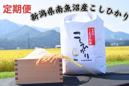 【定期便】新潟県南魚沼市の豊かな自然が育んだ、極上のコシヒカリ　5キロ×6か月
