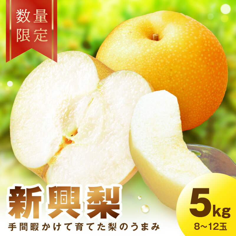 【ふるさと納税】【残りわずか】【先行予約／数量限定100】新興梨　5kg（2025年10月中旬～発送）フルーツ くだもの 国産 梨 新興 ふるさと 納税 先行予約 期間限定 数量限定 ふるさと納税 フルーツ 赤梨