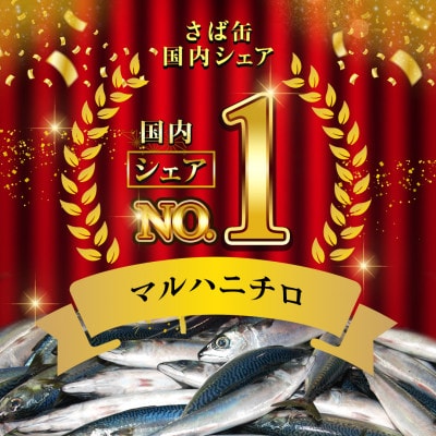マルハニチロ さばみそ煮(国産)缶詰 190g×12缶 ふるさと納税
