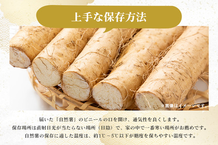 自然薯 カット 約900g 笠間自然薯研究会 DG-003