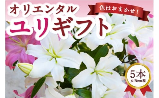 【2026年6月お届け】後藤花卉園 オリエンタルユリ ゆり ユリ 百合 花 お花 植物 ギフト 贈り物 プレゼント 鑑賞用 記念日 冷蔵 福岡県 うきは市
