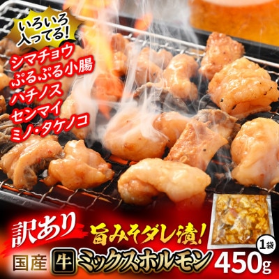 【訳あり】国産牛 ミックスホルモン 450g × 1袋【配送不可地域：離島】【1440058】