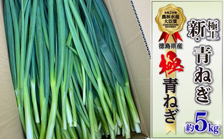 青ねぎ 5kg ネギ 葱 極上 薬味 国産 野菜 ねぎ