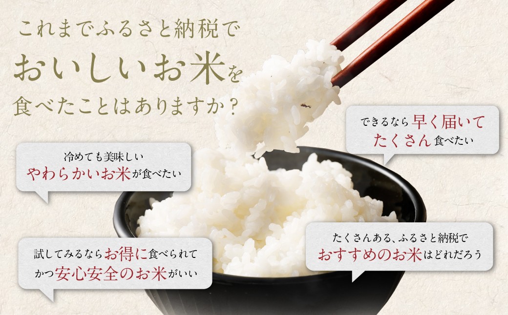 【12回定期便】 筑後の実り 5kg×12回