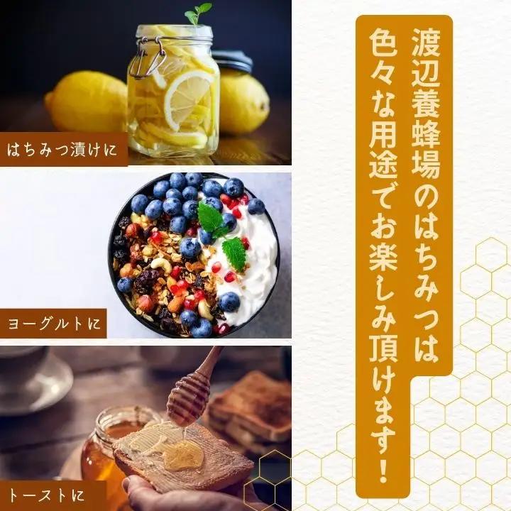 国産天然栗はちみつ スタンドボトル 2本(200g×2本)  | ハチミツ 蜂蜜【株式会社渡辺養蜂場】