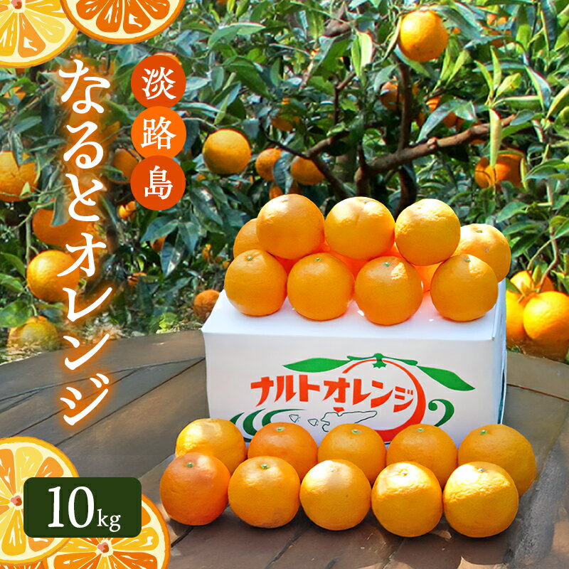 【ふるさと納税】淡路島なるとオレンジ 10kg 兵庫県 洲本市 淡路島 　お届け：4月上旬～6月下旬まで