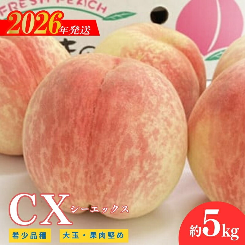 【ふるさと納税】No.2581希少品種CX/シ−エックス 約5kg【2026年発送　先行予約】