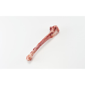 煮込んでスープ、かじって歯磨き鹿骨セット（鹿骨かじかじ14ｋｇ）