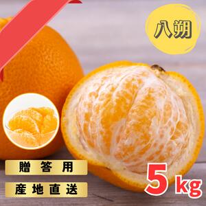 【ふるさと納税】 【先行予約】完熟木なりハッサクみかん 贈答用 秀品 5kg（M〜3Lサイズ）【2026年3月上旬から3月下旬までに順次発送】/ みかん ハッサク 八朔 柑橘 果物 フルーツ 贈答