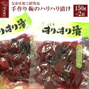 【ふるさと納税】手作り 梅のハリハリ漬け 150g×2袋