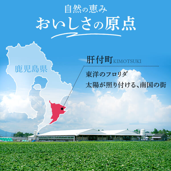 【C01011】 ＜定期便・全3回・隔月＞鹿児島県産黒毛和牛ホルモンミックス(計約2.4kg・約400g×2P×3回分)_イメージ4