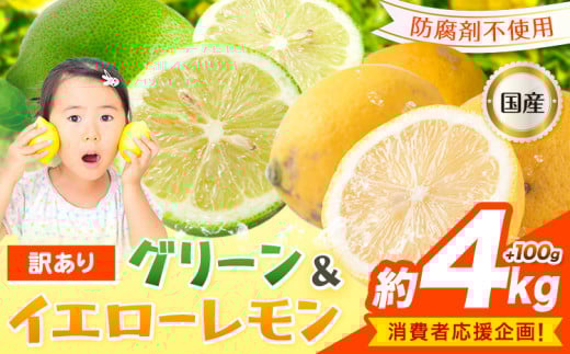 生産者応援企画！訳あり 国産レモン 約4kg＋100g 《10月上旬-1月下旬頃出荷》産地直送 レモン 檸檬 グリーンレモン イエローレモン 防腐剤不使用