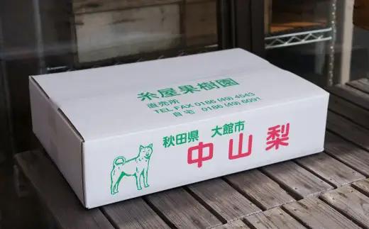 【数量限定・先行受付】糸屋果樹園の「中山なし」3kg 45P3404 /　梨 ナシ 和梨 幸水 豊水  果物 くだもの フルーツ 東北 秋田 大館 中山地区 中山なし 中山梨 なかやまなし【糸屋果樹園