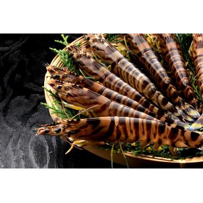 ふるさと納税 中種子町 活き〆冷凍車海老 Lサイズ300g×1パック(14〜16尾入り) |  | 02