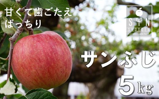 【先行予約】 松陽園 樹上完熟 りんご サンふじ 5kg  岩手県 遠野市【2024年11月下旬ごろから発送予定】