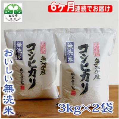 ふるさと納税 魚沼市 【毎月定期便】お米マイスター厳選　魚沼産コシヒカリ(無洗米)6kg全6回