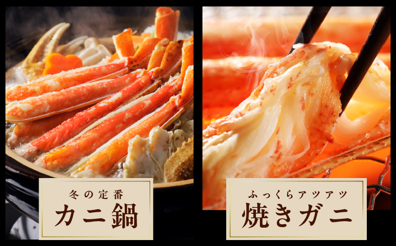 【数量限定】ボイルズワイ蟹 3kg 大型 5Lサイズ カット済み