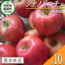 【ふるさと納税】 りんご シナノドルチェ 訳あり 10kg マルヤマフルーツ農園 沖縄県への配送不可 令和6年度収穫分 農産物認証50-30 減農薬栽培 長野県 飯綱町 【 傷 不揃い 信州 果物 フルーツ リンゴ 林檎 長野 】発送時期：2024年9月下旬～2024年10月上旬 {*}