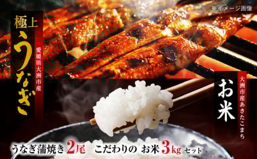 【全3回定期便】「うなぎ蒲焼き 2尾」とこだわりの「お米 3kg」セット 愛媛県大洲市/有限会社 樽井旅館 [AGAH004]うなぎ ウナギ 鰻 手焼き うなぎ ウナギ 鰻 国産 うなぎ ウナギ 鰻 うなぎ蒲焼 鰻重 うな丼 土用の丑 鰻 ウナギ お正月 クリスマス