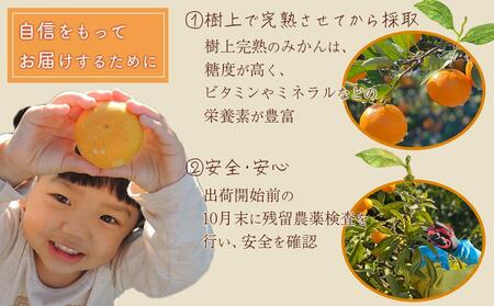 先行予約 和歌山県 有田みかん 小粒 5kg 甘味凝縮 産直44年 5代目 武内園 完熟蜜柑