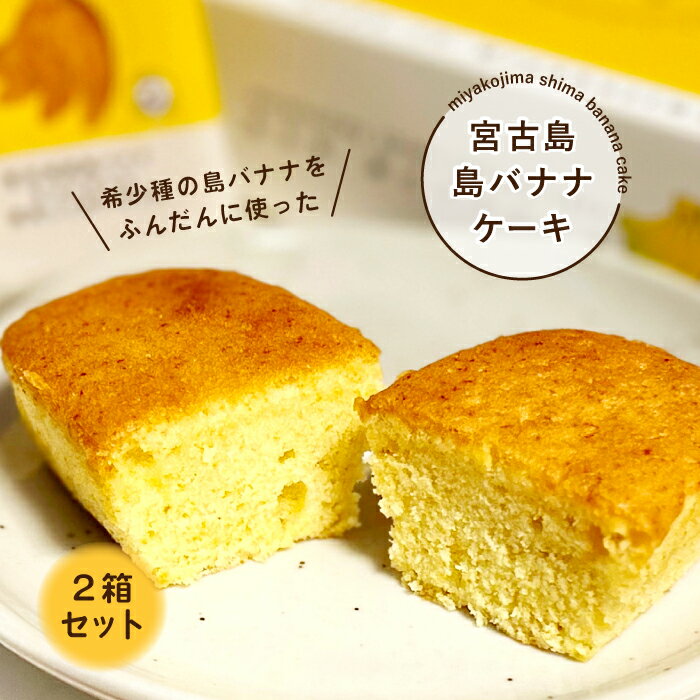 【ふるさと納税】希少種の島バナナをふんだんに使った『宮古島 島バナナケーキ』2箱セット（AB107）