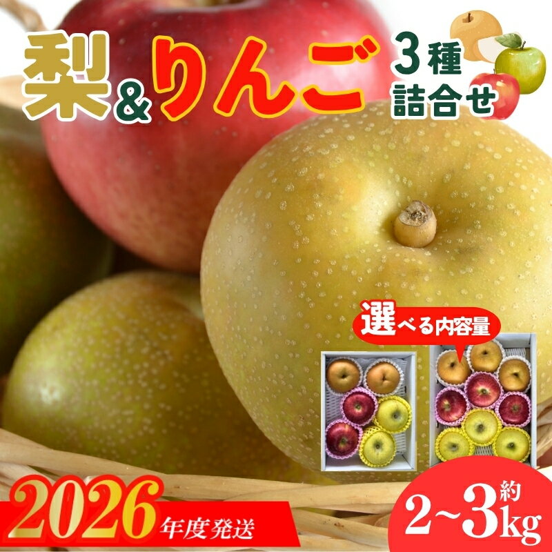 【ふるさと納税】なし＆りんご詰合せ 3種 【2026年発送】 選べる 内容量 約2kg 約3kg 福島 福島市 ふくしま フルーツ 果物 セット 秋 旬 食べ比べ 食べくらべ