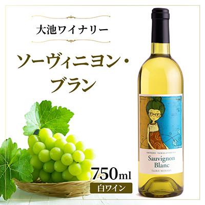 ふるさと納税 山形村 【爽やかな香りと酸味】大池ワイン ソーヴィニヨン・ブラン 白ワイン 750ml