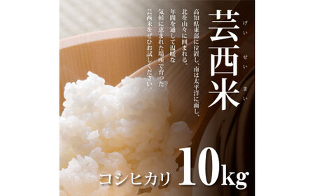 先行受付 令和8年産 新米 コシヒカリ コシヒカリ　10kg
