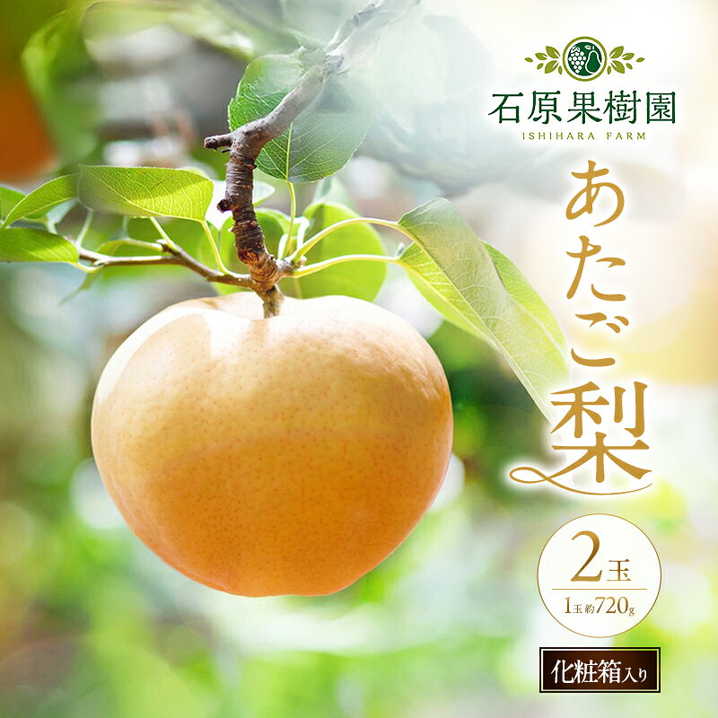 【ふるさと納税】梨 2026年 先行予約 あたご梨 2玉 1玉 約720g 化粧箱 【11月下旬〜12月中旬頃発送】 ナシ なし 岡山県産 国産 フルーツ 果物 ギフト 石原果樹園　お届け：2026年11月15日〜2026年12月24日