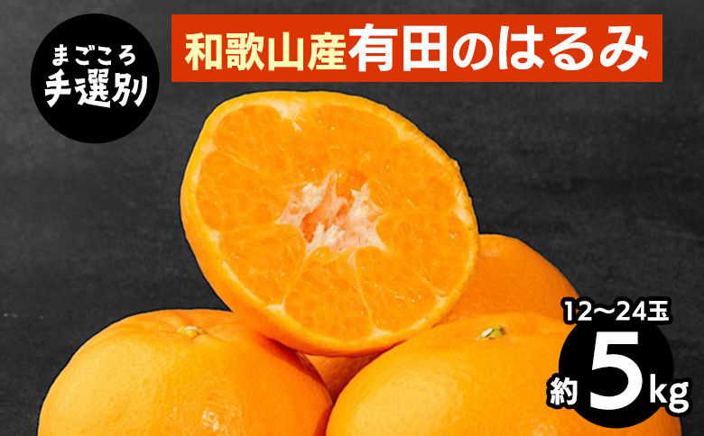 
            【まごころ手選別】和歌山産　有田のはるみ　約5kg　12玉～24玉 ※2026年1月中旬～2月下旬頃に順次発送予定
          