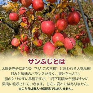 サンふじ 小玉 10kg 43～50玉【1587842】