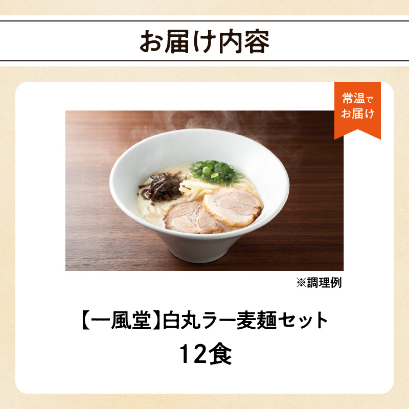一風堂白丸ラー麦麺セット（12食）  ラーメン 博多 福岡 とんこつ ラー麦 麺 セット