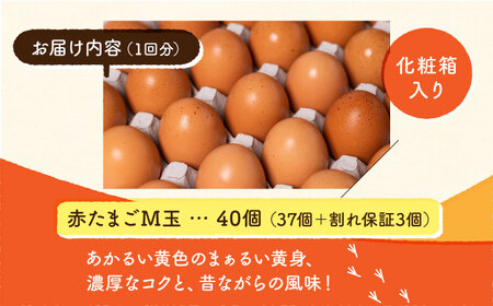 【全6回定期便】 【化粧箱入り】赤たまご M玉 40個 (37個＋割れ保証3個)【農事組合法人 鹿本養鶏組合】タマゴ 玉子 熊本県たまご 卵 国産たまご 新鮮たまご あかたまご M玉たまご 熊本たまご