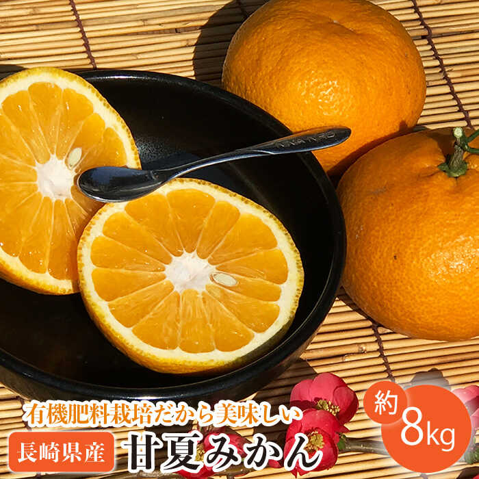 【ふるさと納税】【先行予約】数量限定 甘夏みかん 有機肥料栽培 8kg【おだ農園】[OAG001] / ミカン 蜜柑 フルーツ 果物 甘い 長崎県産 柑橘 デザート