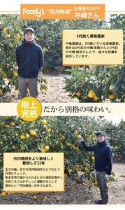 先行予約 訳あり 河内晩柑 ジューシーオレンジ 約8kg  2027年3月下旬から2027年7月下旬発送予定
