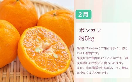 定期便全3回 【2月・3月・4月発送】 和歌山の春の柑橘 （ポンカン・はるか・ブラッドオレンジ）秀品【tec-tkb002】