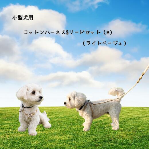 【ふるさと納税】8-036-006　小型犬用 コットンハーネス（Mサイズ）&リードセット（ライトベージュ）　お届け：入金後、1ヶ月内