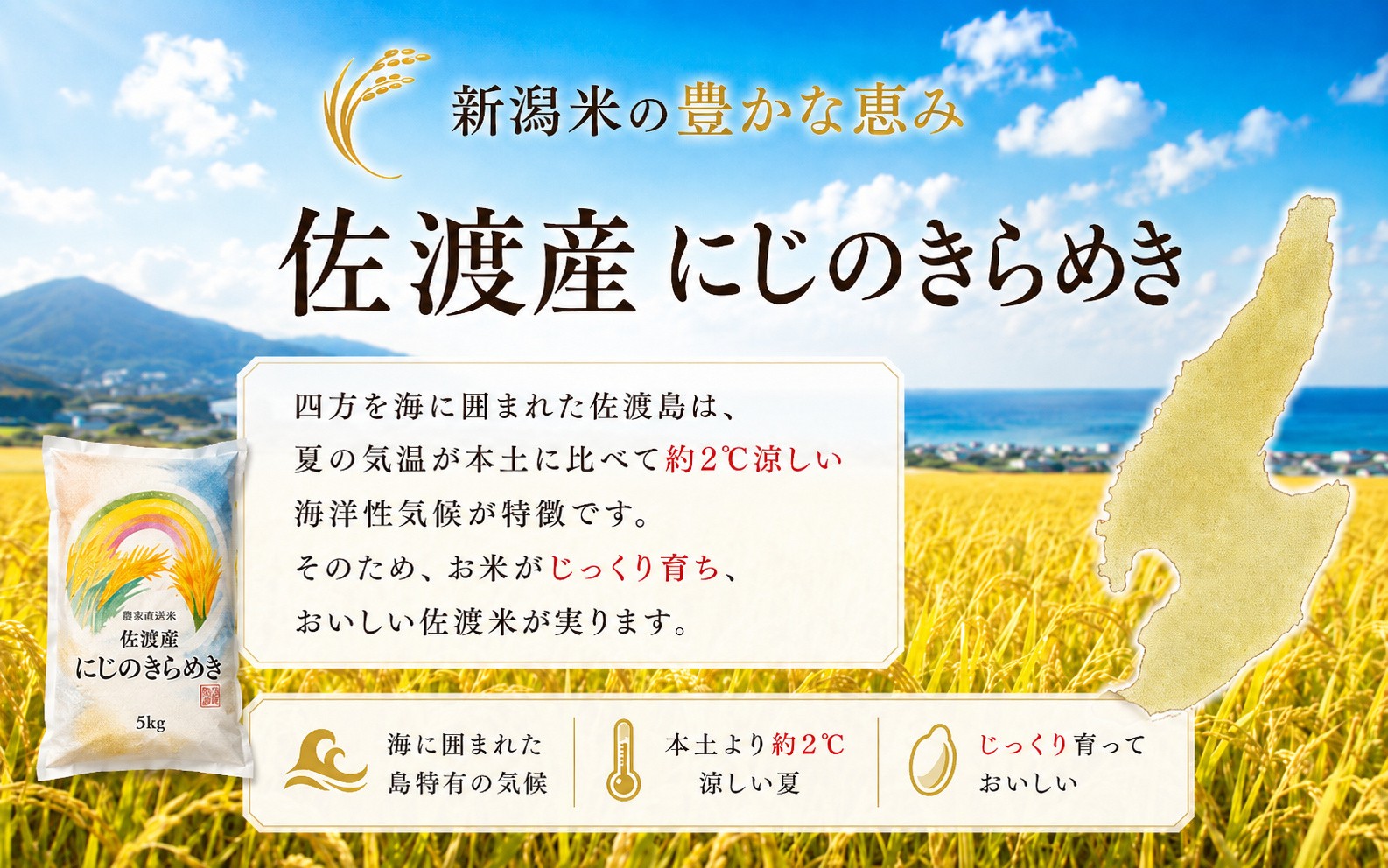虫食い米が混じるのは、殺虫剤を使わない証です
