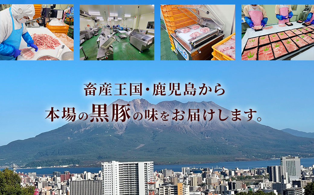 JS-306 【6ヶ月定期便】鹿児島県産黒豚 5種詰合せ(約2.2kg×6回)