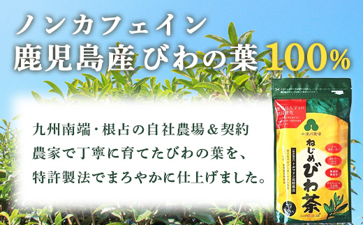 【定期便 全4回】 ねじめびわ茶 合計480包 ≪ 1回あたり120包 (24包入×5袋) ≫ 3か月毎のお届け TO-522