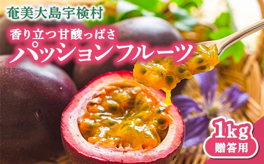 
                  【先行予約】パッションフルーツ 贈答用 (12個入×1箱) 【7月～9月頃出荷開始】 リリコイ 果物 フルーツ デザート 人気 南国 デザート 奄美大島 宇検村 鹿児島
                