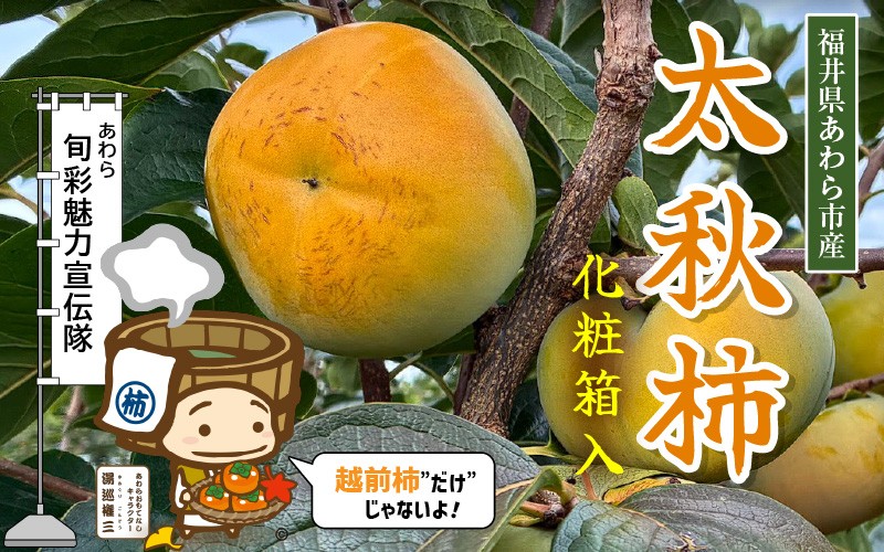 
            希少なあわらの「太秋柿」6個入（1.8kg以上） ／ 果物 フルーツ かき 産地直送 期間限定 [aw031-a007]
          