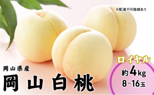 
                  桃 2026年 先行予約 岡山 白桃 ロイヤル 8～16玉 4.0kg 岡山県産 JAおかやまのもも モモ 岡山県産 国産 フルーツ 果物 ギフト 
                