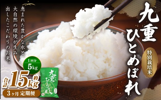 【3ヵ月定期便】 九重 ひとめぼれ 5kg×3回 計15kg 米 こめ コメ お米 精米 ご飯 ごはん 常温 国産